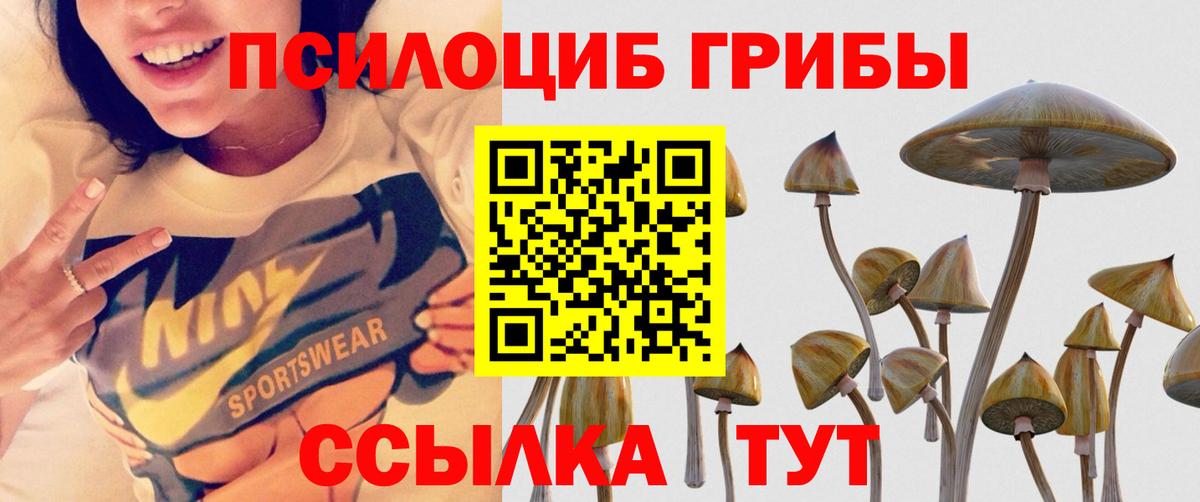 Галлюциногенные грибы Cubensis  Галлюциногенные грибы ЛСД  Вход с VPN  Астрахань 
