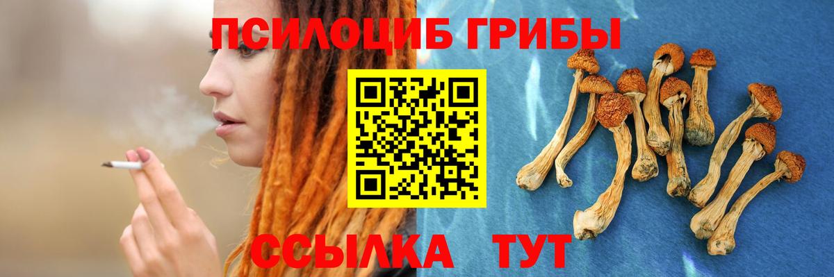 Галлюциногенные грибы MAGIC MUSHROOMS Астрахань
